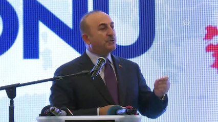 Descargar video: Bakan Çavuşoğlu: 'Yurtdışında yaşayan vatandaşlarımıza hizmetin en iyisini vermek bizim görevimizdir' - SAKARYA