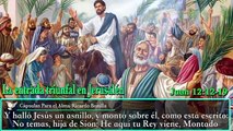 Evangelio De HOY JUEVES 25 de Octubre 2018 REFLEXIÓN Cápsulas Para el Alma