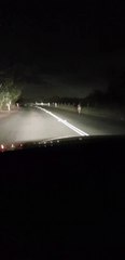 Kangaroo Gets Last Laugh