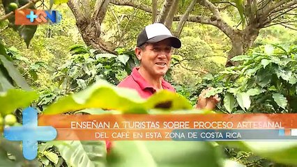 mqn-Pruebe-un-delicioso-café-artesanal-en-Palmichal-251018