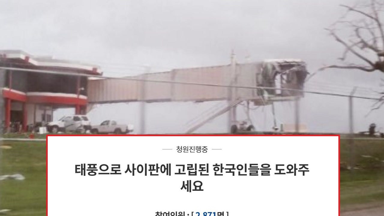 "1박에 100만 원"...사이판 태풍에 국민청원 등장 / YTN