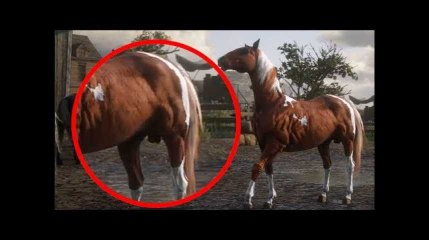 Red Dead Redemption 2 va vraiment trop loin dans le détail