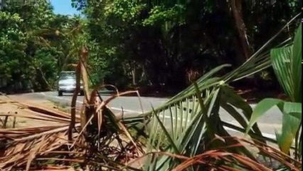 Perdidos en el paraíso Película en español parte 2