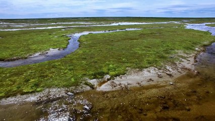 [Documentary] Arctic Secrets Series 1 6of8 Rhythm of the Bay