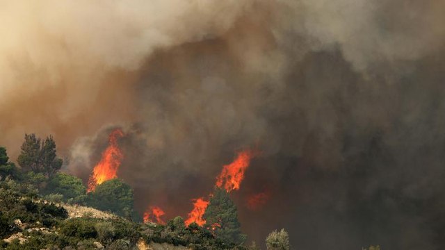 Χαλκιδική: Ολονύχτια μάχη με τις φλόγες στη Σάρτη