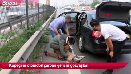 Köpeğine otomobil çarpan gencin gözyaşları