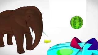 Learn Colors With Elephant Animals And Learn Shapes Nursery Rhyme Song For Kids