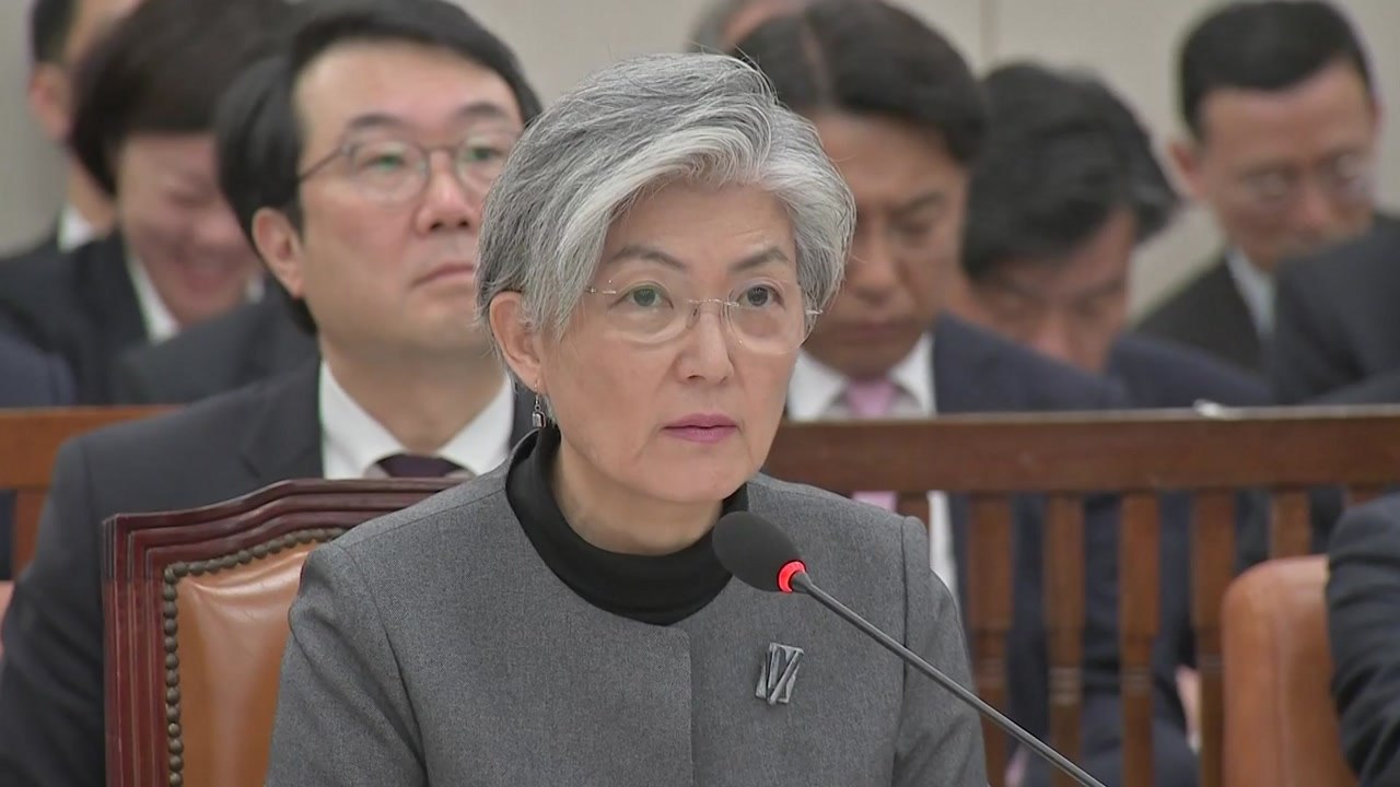 강경화 "김정은 위원장 연내 답방 계속 추진" / YTN