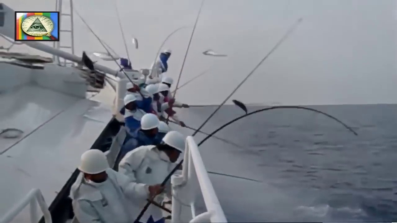 Amazing Fast Tuna Fishing Skill, Too Many Fish! Catching Tuna on The Big Sea 2018