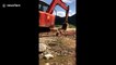 Skilled digger driver uses arm to fix broken machine