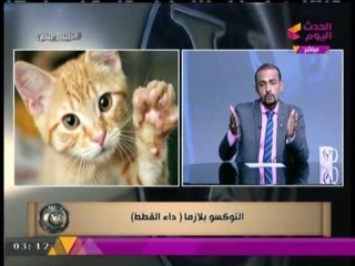 برنامج طبيب بيطري مع " أحمد صالح" | ماهو داء القطط وتأثير تناول الفاكهة علي الكلاب 22-7-2017