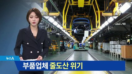 자동차산업 줄도산 위기…부품업체 생존권 ‘위협’