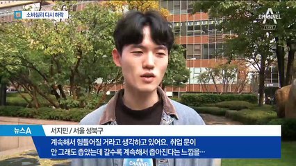 ‘소득주도’ 했는데 소비심리 하락…현실 경제 ‘깜깜’