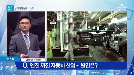 [뉴스분석]한국 경제, 퍼펙트 스톰 속 보이지 않는 보호막