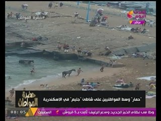 "سيد علي" تعليقا على صورة "حمار على شواطئ جليم في الإسكندرية": "الجو بقي ملعوب فيه!!!"