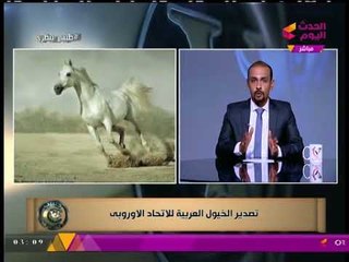 طبيب بيطري مع د. أحمد صالح | بشري سارة عن الخيول العربية ذات الأصول المصرية 12-8-2017