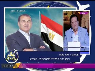 رئيس لجنة العلاقات الافريقية بمجلس النواب:مصر الوحيدة التي استطاعت أن تتغلب على مارد "الربيع العربي"