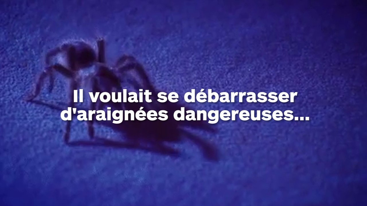 Il veut se débarrasser des araignées au chalumeau mais au final, il brûle sa maison !