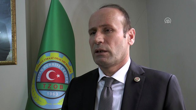 Hububatta gübre desteği müjdesi üreticiyi sevindirdi - DİYARBAKIR