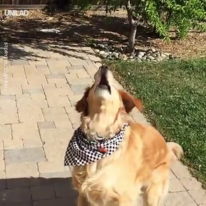 When you try your best but can't succeed... 