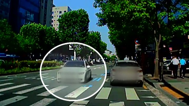 [영상] 역주행에 추돌까지...'위험천만' 만취 도주극 / YTN