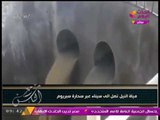 حصريا| مشاهد تعرض لأول مرة لحظة وصول مياه النيل إلى #سيناء عبر سحارة سبريوم