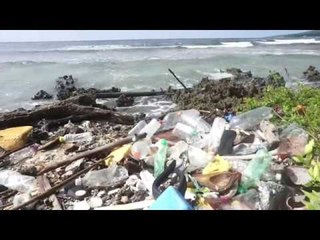 Parlamenti Europian ndalon plastikën njëpërdorimshe - Top Channel Albania - News - Lajme