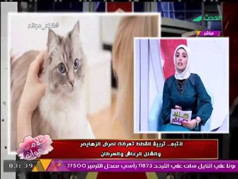 تحذير لمحبي الحيوانات الأليفة| قطتك قد تؤدى لإصابتك بـ الشلل و الزهايمر !!