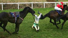 Les accidents impressionnants des courses hippiques