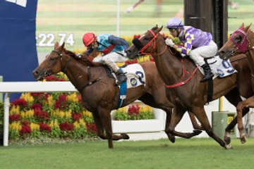 Les courses hippiques importantes à ne pas manquer