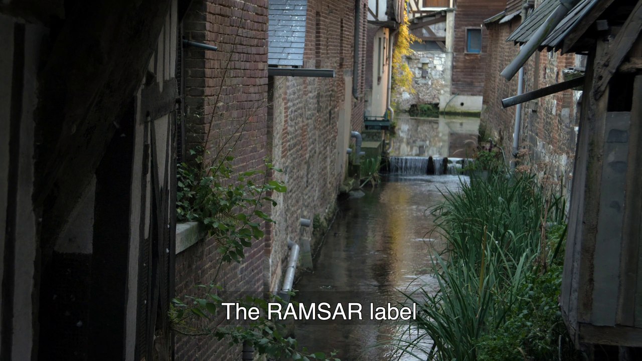 Pont-Audemer, lauréate du label « Ville des zones humides » - Convention de Ramsar