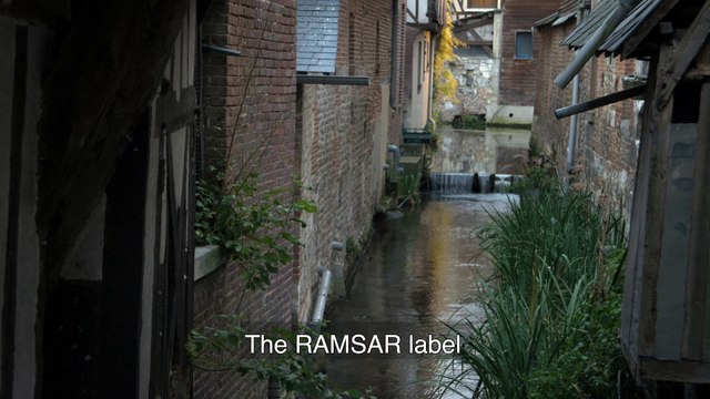 Pont-Audemer, lauréate du label « Ville des zones humides » - Convention de Ramsar