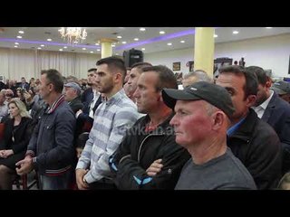 Basha: Shteti i eshte dorezuar krimit