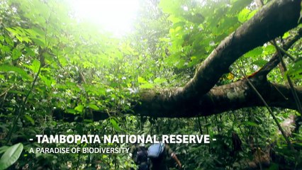 Naturaleza - UK - Dakar 2019