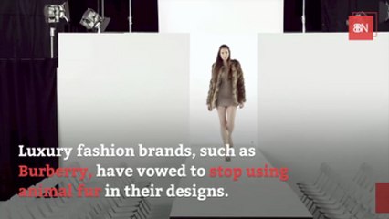 Fake Fur And Plastics Are Hurting The Environment