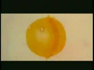 HO YEOW SUN .. MV - 春天的微笑