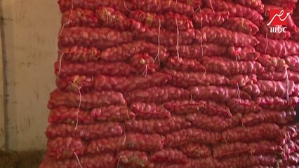 تعرف على قرية "كفر الناصرية" الأكثر انتاجاً وتخزيناً لمحصول البطاطس على مستوى الجمهورية