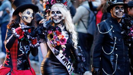 No Comment недели: лучшие эпизоды