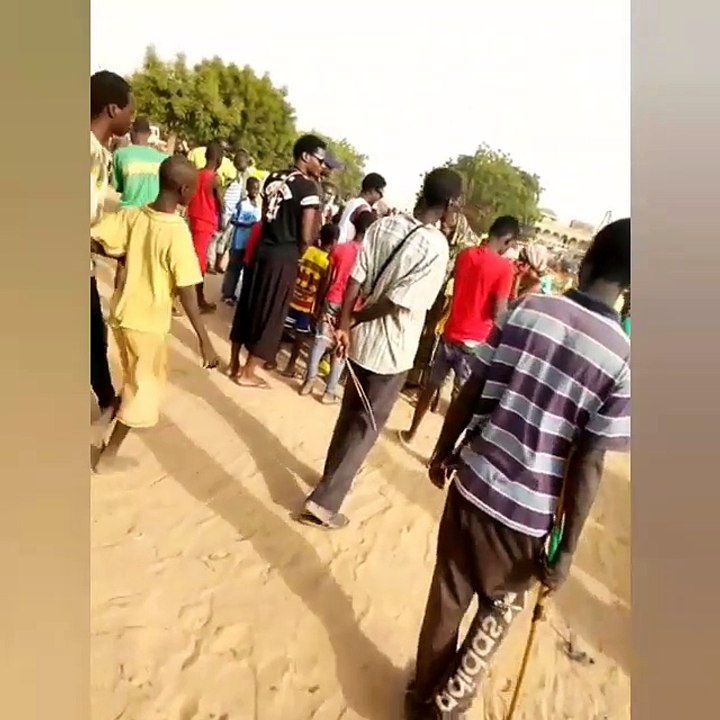 Wally Seck offre des boeufs