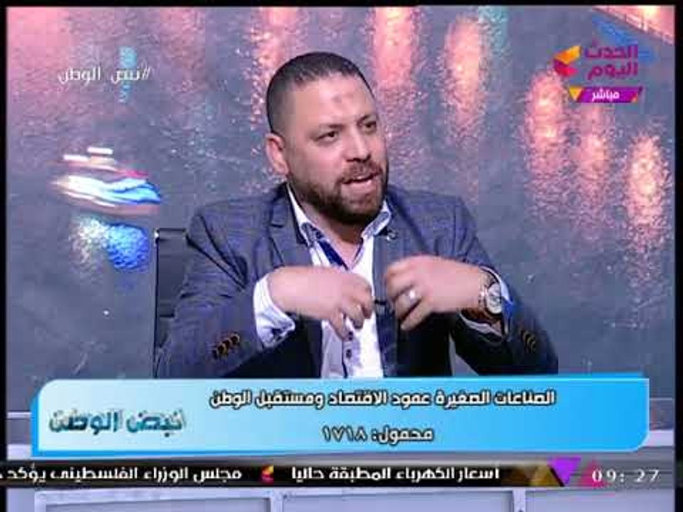نبض الوطن مع هاني النحاس| لقاء مع مؤسس مبادرة الصناعات الصغيرة "مستقبل وطن" 14-11-2017