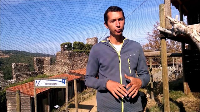 Volerie du Forez : un prétendant pour le vautour Fred