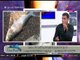 أهالينا مع رانيا وريهام الدويك| ومناقشة مشكلة نفوق الأسماك بمحافظة المنوفية 15-12-2017