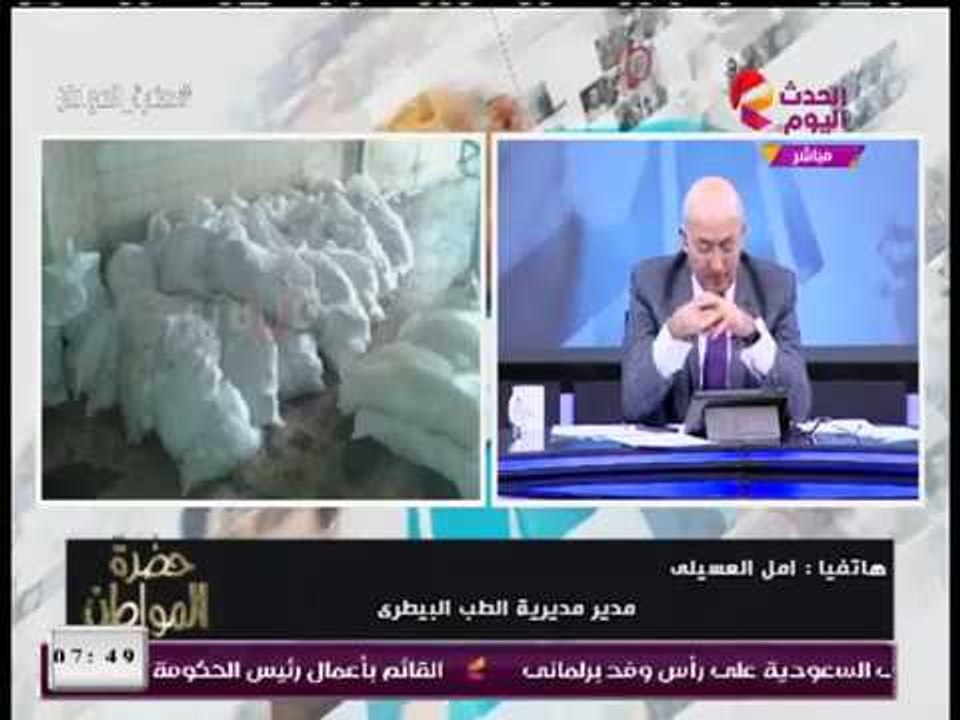 شاهد تفاصيل ضبط 8 أطنان دواجن فاسدة مُجمدة بمجز...