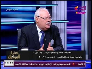 سفير مصر الأسبق بالسودان: تركنا الساحة لمزيفي التاريخ فتوترت العلاقات مع "الخرطوم"