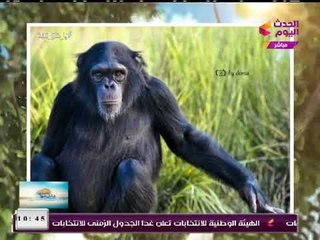 الحاصل على جائزة "ناشيونال جيو جرافيك" يكشف كواليس حصوله عليها وموقع التصوير