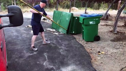 Attirés par la nourriture, 3 oursons se coince dans une poubelle