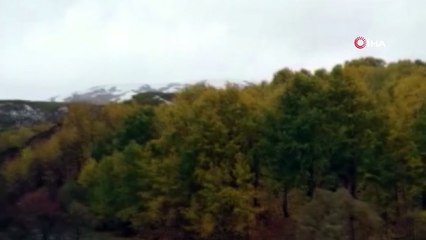 Tunceli'de kar ve tipiye yakalanan timde 1 askerimiz  şehit oldu