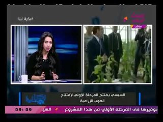 تعرف على تفاصيل قرار الرئيس السيسي بالتامين على العمال