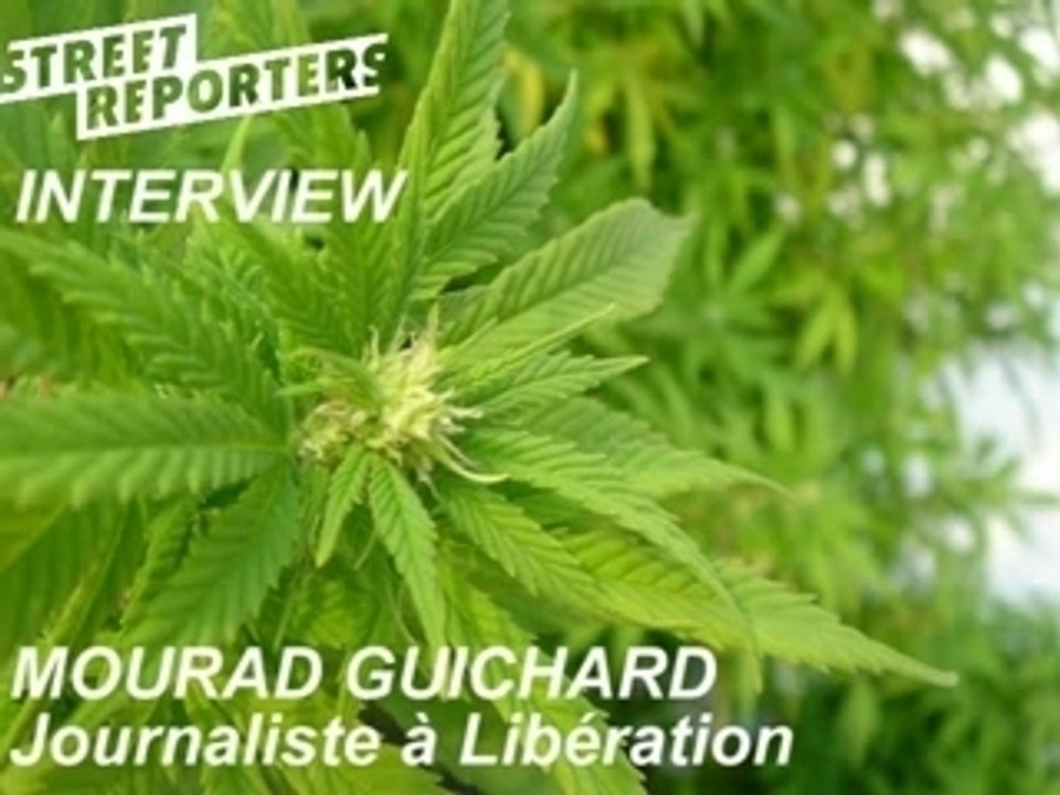 Interview Mourad Guichard Sur le cannabis dans le loiret