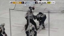 ECHL Greenville Swamp Rabbits 1 at Jacksonville Icemen 3